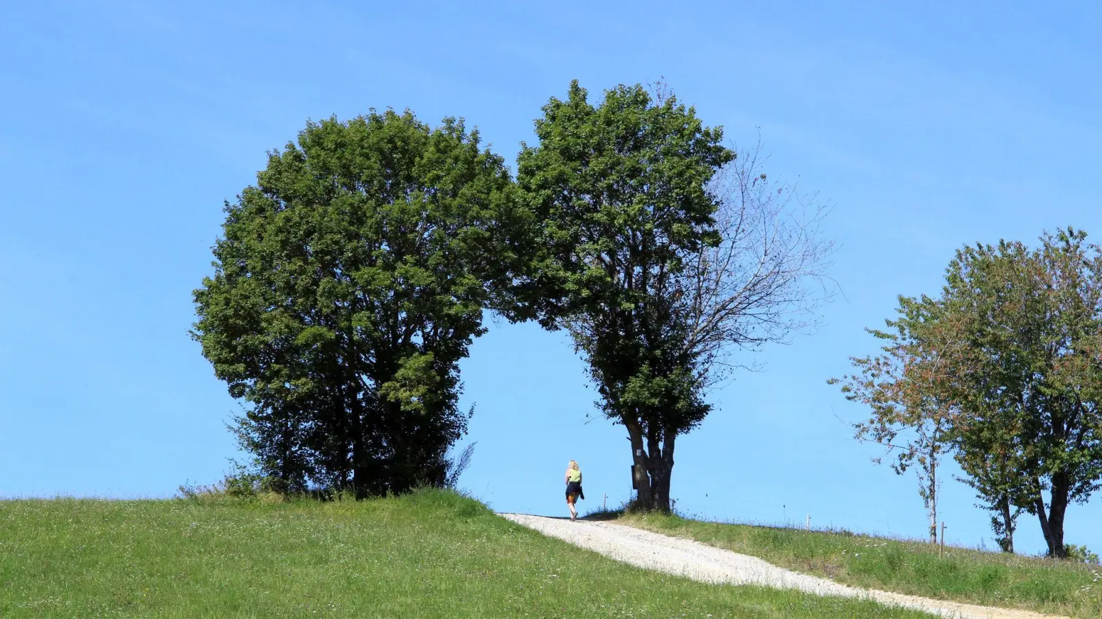 Der Hegau lässt sich auf mehreren Premiumwanderwegen erkunden. (Foto: Bernd Meier/dpa-tmn)