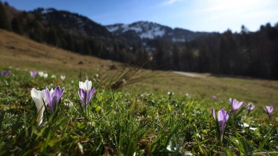 Frühlingsgefühle - und dann wieder Regen. Es bleibt das Aprilwetter.  (Foto: Karl-Josef Hildenbrand/dpa)