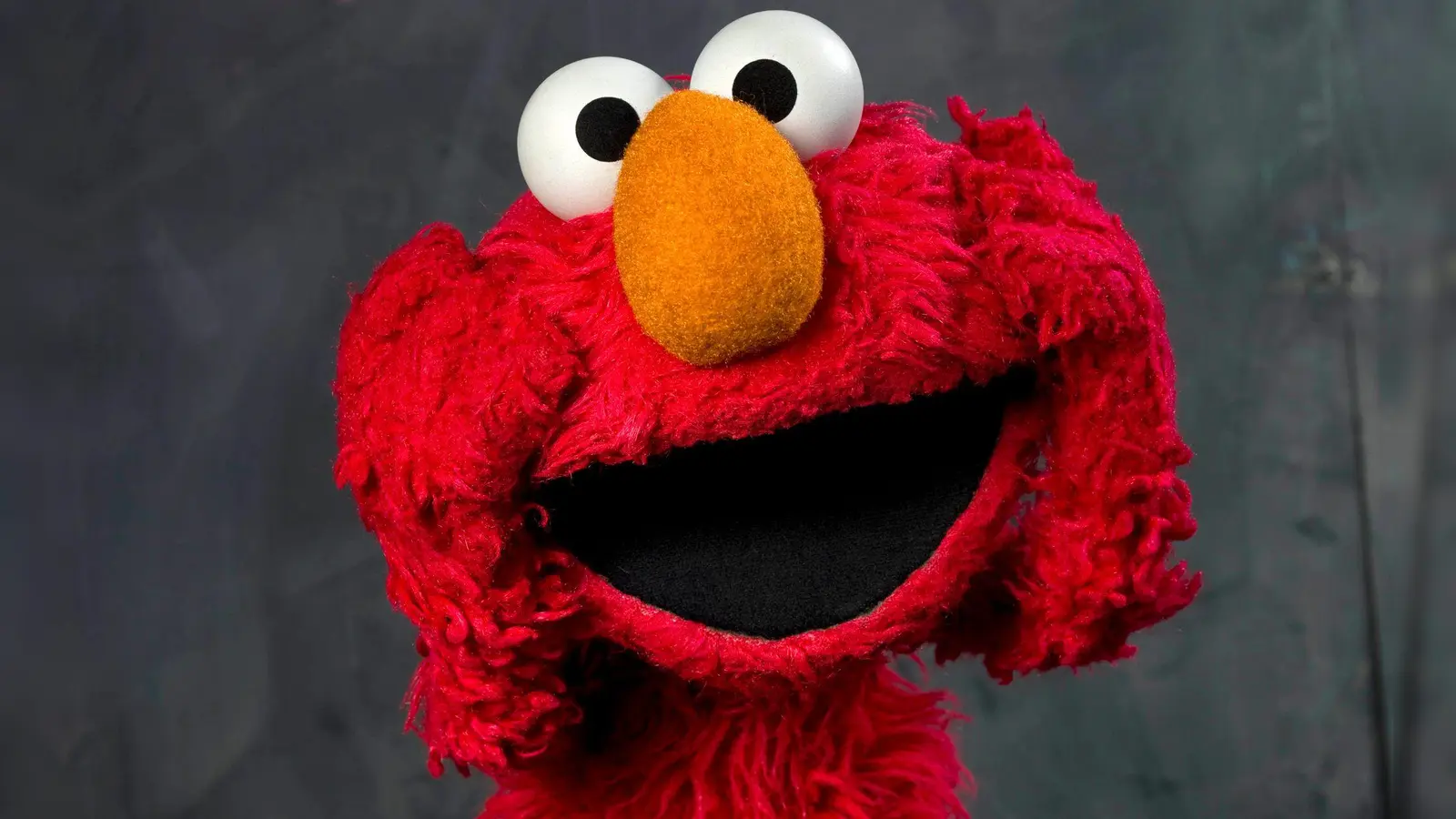 Das Monster Elmo ist beim Publikum sehr beliebt. (Archivbild) (Foto: Victoria Will/WILLV/AP/dpa)