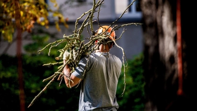 Profi für die Gartenarbeiten engagiert? Dann sollten zumindest Teile der Kosten steuerlich absetzbar sein. (Foto: Zacharie Scheurer/dpa-tmn)
