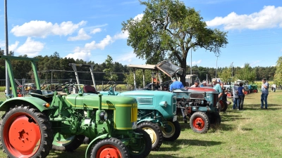 In Reih und Glied: Die Traktor-Klassiker zogen viele Schaulustige an.  (Foto: Erich Herrmann)