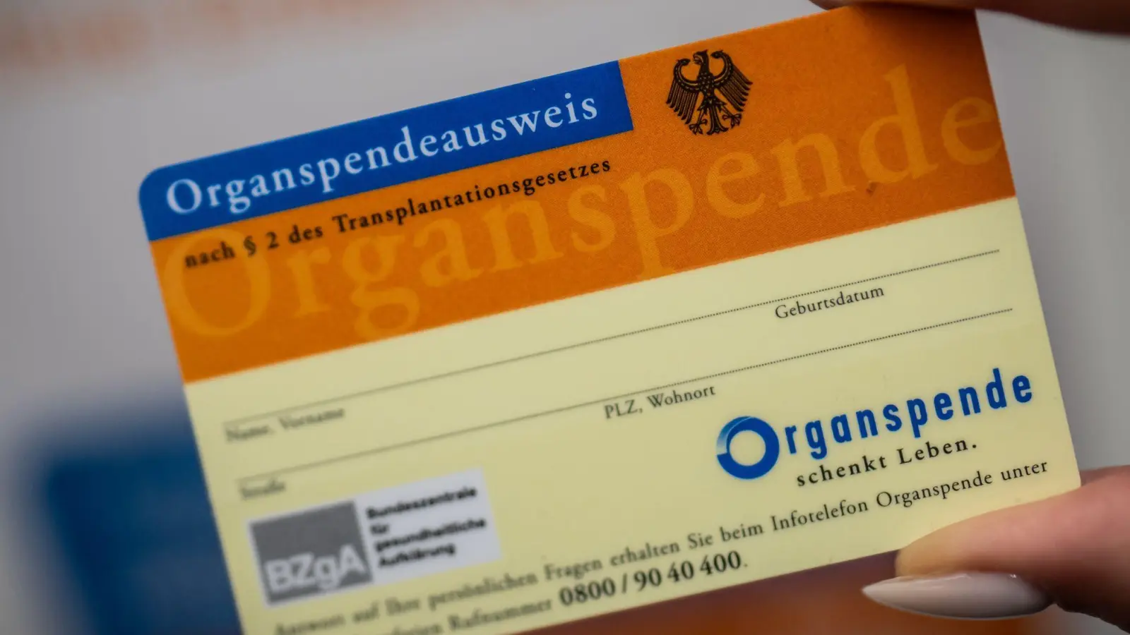 Ein Organspendeausweis erspart den Angehörigen eine schwierige Entscheidung. (Archivbild) (Foto: Michael Kappeler/dpa)