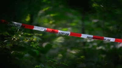 Die Waffen wurden in der Nähe von Berlin gefunden. (Archivbild) (Foto: Robert Michael/dpa)