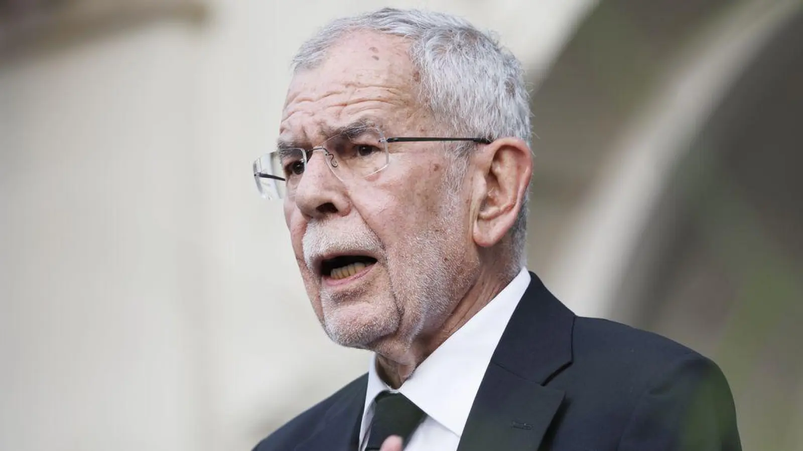 Das Staatsoberhaupt bringt sich in die Waffen-Debatte ein. (Foto: Erwin Scheriau/APA/dpa)