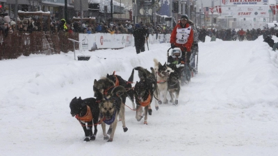 Das Schlittenhunderennen Iditarod ist gestartet.  (Foto: Mark Thiessen/AP/dpa)