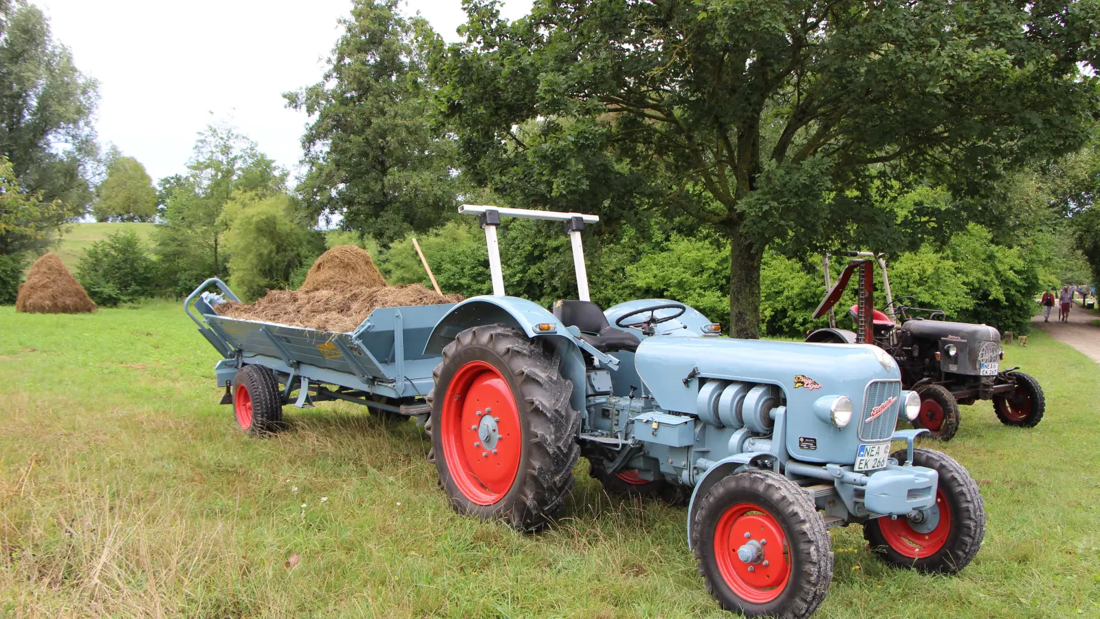 Etwa 500 historische Fahrzeuge kommen zum Oldtimer-Schlepper-Treffen nach Bad Windsheim. (Foto: Fränkisches Freilandmuseum/Lisa Baluschek)