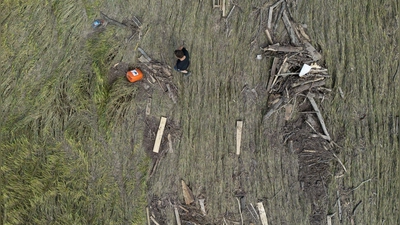 Hochwasserschäden auf einem baden-württembergischen Getreidefeld im Jahr 2024. Steigende Unwetter- und Dürregefahr bedeutend steigende Risiken für die deutsche Landwirtschaft. (Symbolbild) (Foto: Marijan Murat/dpa)
