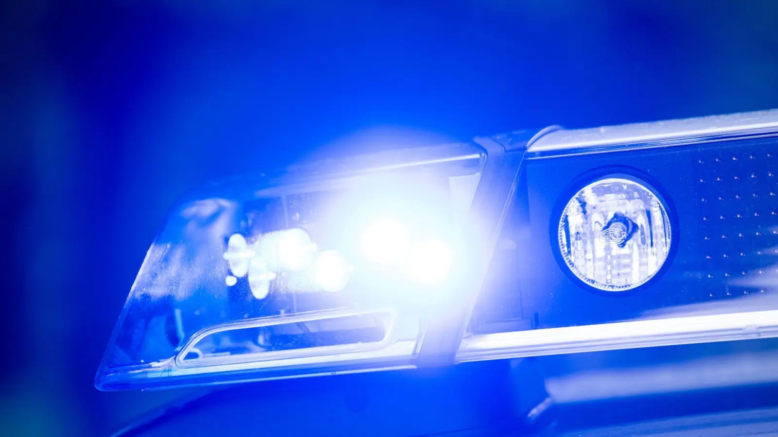 Der Junge wurde laut Polizei von dem Ast schwer verletzt. (Symbolbild) (Foto: Lino Mirgeler/dpa)