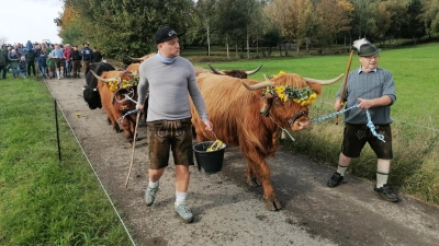 Jungbauer Karlheinz Heß junior (links) und Altsitzer Karl-Heinz senior führten die Rinder von der Sommer- zur Winterweide. (Foto: Friedrich Zinnecker)