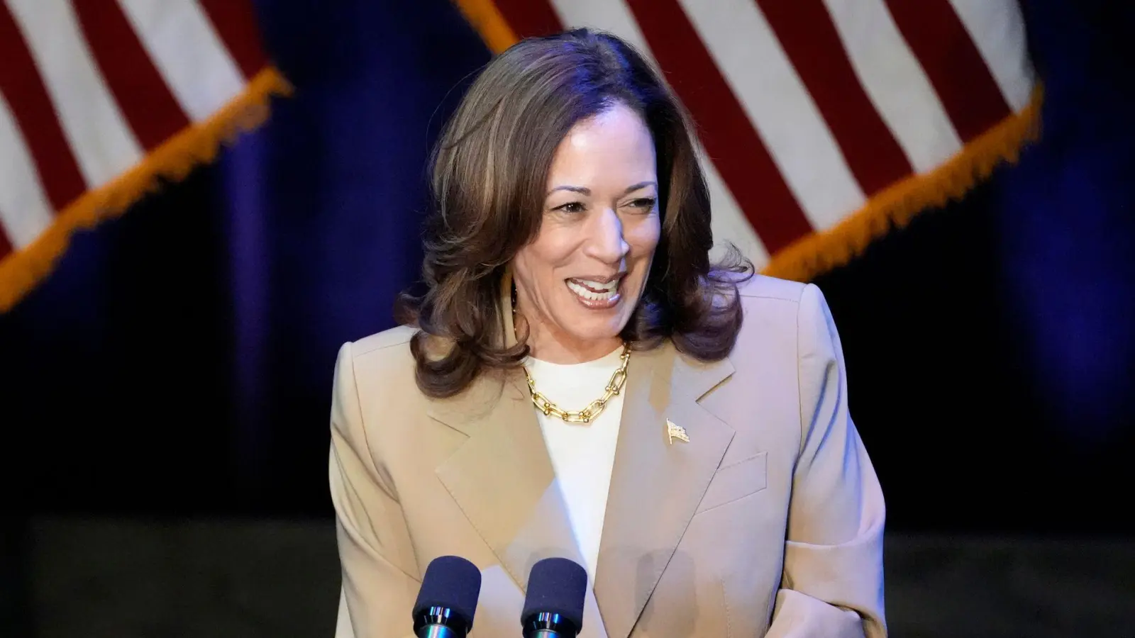 Die Demokratin Kamala Harris tritt bei der US-Präsidentschaftswahl gegen den Republikaner Donald Trump an. (Archivbild) (Foto: Stephanie Scarbrough/AP/dpa)