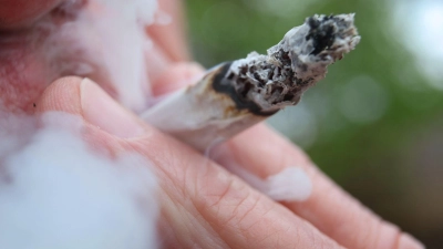 Cannabis-Konsum und -Anbau sind 2024 unter bestimmten Bedingungen erlaubt. (Foto: Karl-Josef Hildenbrand/dpa)