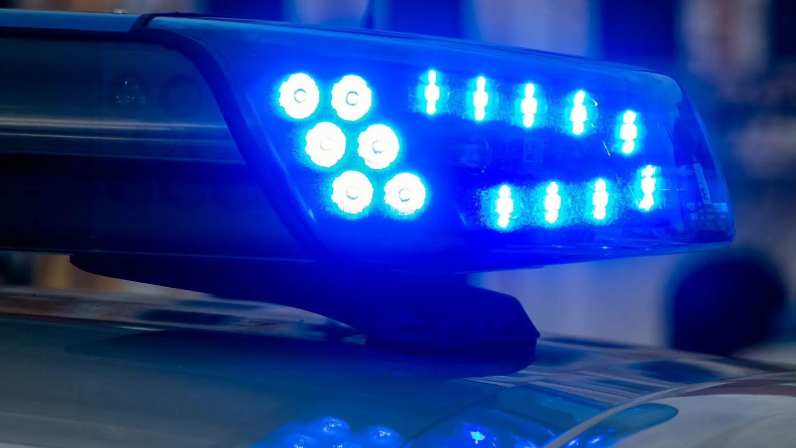 Die Polizei beobachtet, wie die 21-Jährige während der Fahrt auf den Rücksitz klettert. (Symbolbild)  (Foto: Klaus-Dietmar Gabbert/dpa-Zentralbild/dpa)