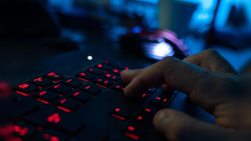 Eine Sicherheitslücke in der Webskriptsprache PHP gefährdet derzeit viele Webseiten. (Symbolbild) (Foto: Nicolas Armer/dpa)