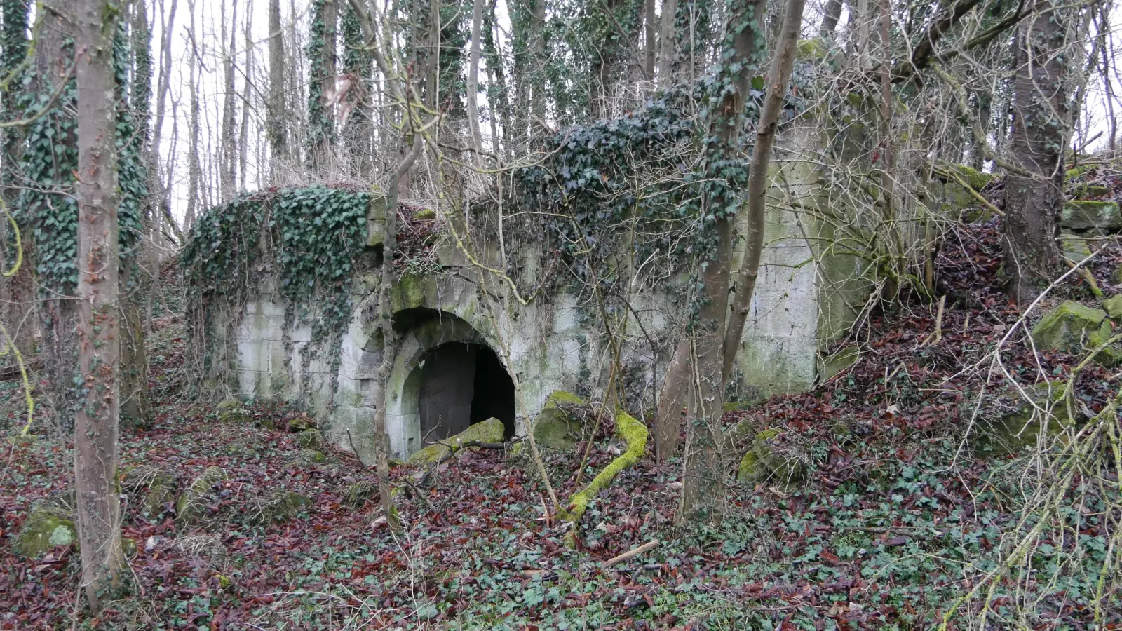 Das sind die Überbleibsel des Felsenkellers bei Ippesheim, der bis zum Zweiten Weltkrieg ein beliebtes Ausflugsziel mit Biergarten und Kegelbahn war. (Foto: Ulli Ganter)