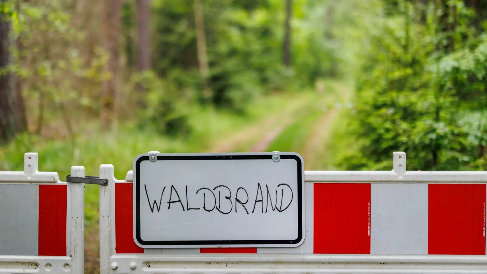 Die Waldbrand-Gefahr in Bayern ist schon jetzt hoch (Illustration). (Foto: Daniel Karmann/dpa)