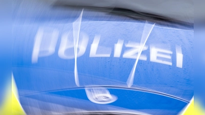 Ein 18-Jähriger hat wegen einer Spinne die Kontrolle über sein Fahrzeug verloren. (Symbolbild) (Foto: Soeren Stache/dpa)