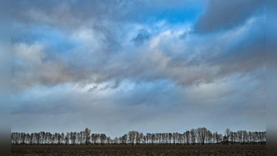 Der Winter war viel zu nass und zu warm. (Foto: Patrick Pleul/dpa)