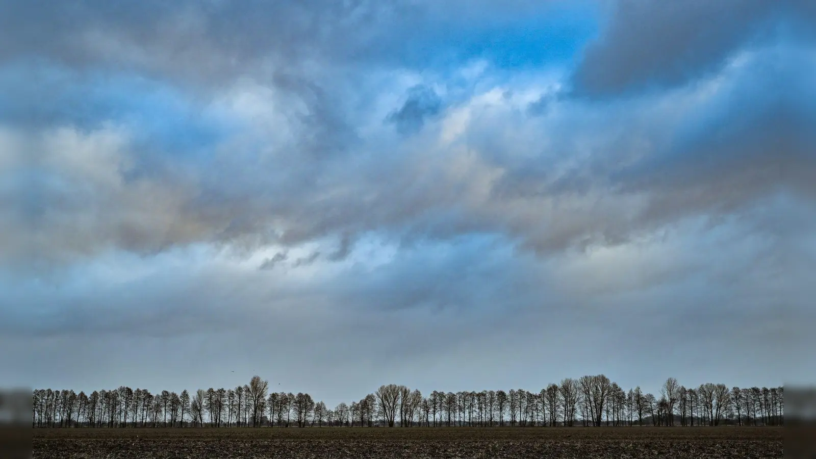 Der Winter war viel zu nass und zu warm. (Foto: Patrick Pleul/dpa)