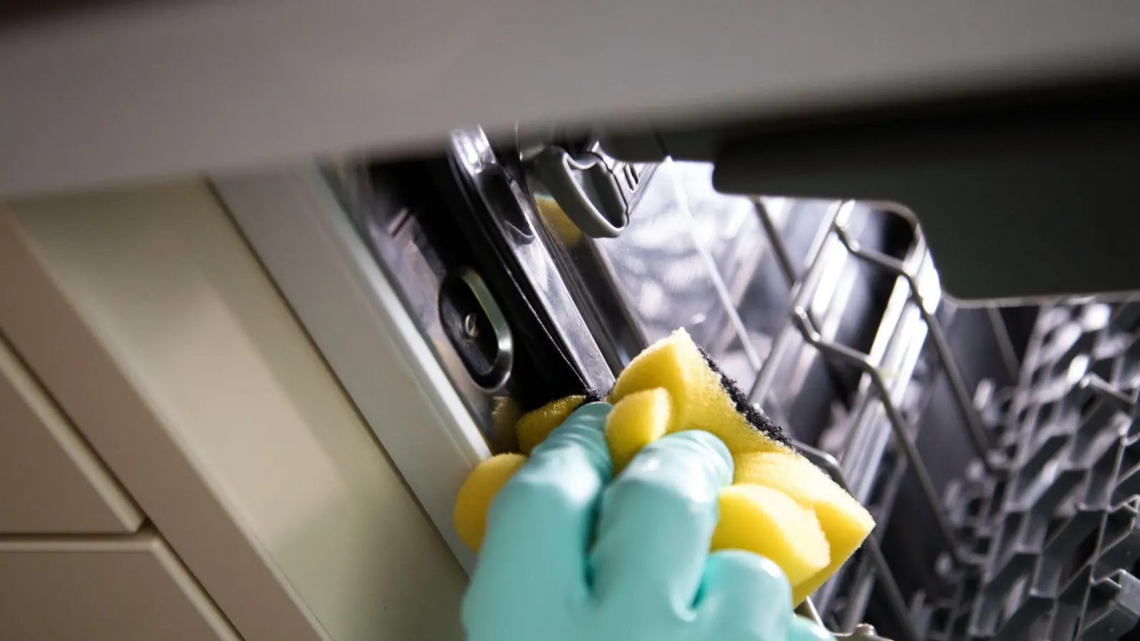 Regelmäßige Reinigung nicht vergessen: Die Gummidichtungen, das Sieb, und die schwer zugänglichen Bereiche der Spülmaschine sollten regelmäßig gereinigt werden. (Foto: Christin Klose/dpa-tmn)