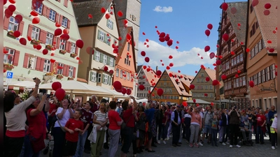 399 rote Luftballons haben Unterstützer des Dinkelsbühler Krankenhauses vor zwei Wochen in den Himmel steigen lassen. Die Menschen sorgen sich um die Zukunft ihrer Klinik. (Archivbild: Roman Kocholl)