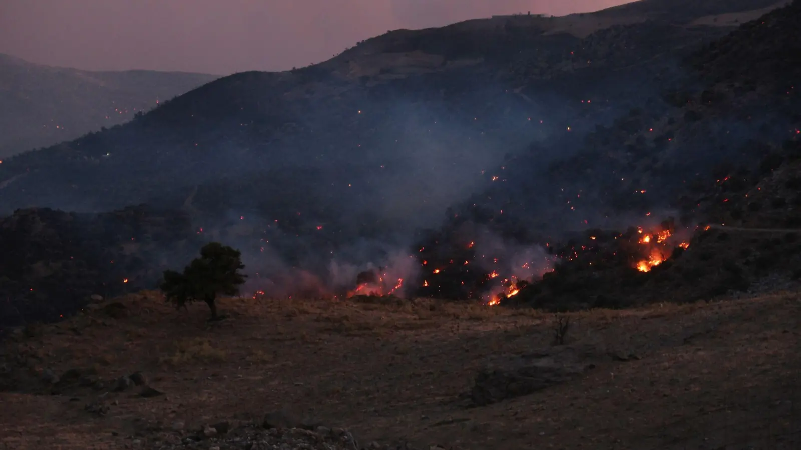 Die Feuerwehr kann den Waldbränden auf Kreta kaum Herr werden. (Foto: Giannis Angelakis/AP/dpa)