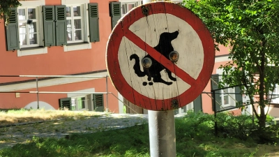 Neben der Stadtkirche St. Kilian in Bad Windsheim ist dieses Schild an einen Mast montiert. (Foto: Nina Daebel)