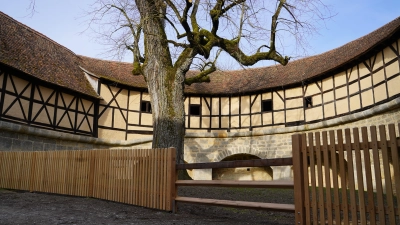 Auf rund 200 Jahre schätzen Fachfirmen das Alter der Sommerlinde, die im Innenhof der Spitaltorbastei steht. Morsche Äste drohen herunterzubrechen, weshalb die Stadt eine Absperrung aufbaute. Diese gefällt in Form und Aussehen jedoch vielen nicht. Eine Alternative muss her. (Foto: Simone Hedler)