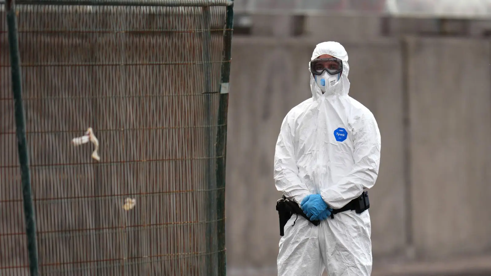 Beim Kontakt mit dem Hantavirus sollte ein Schutzanzug Pflicht sein. (Foto: AP/dpa)