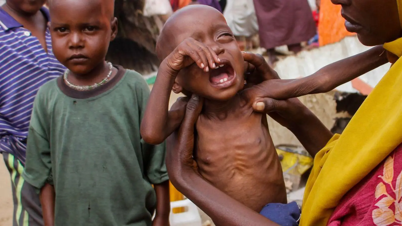Klimafolgen treiben immer öfter Menschen in die Flucht. (Archivbild)  (Foto: Farah Abdi Warsameh/AP/dpa)