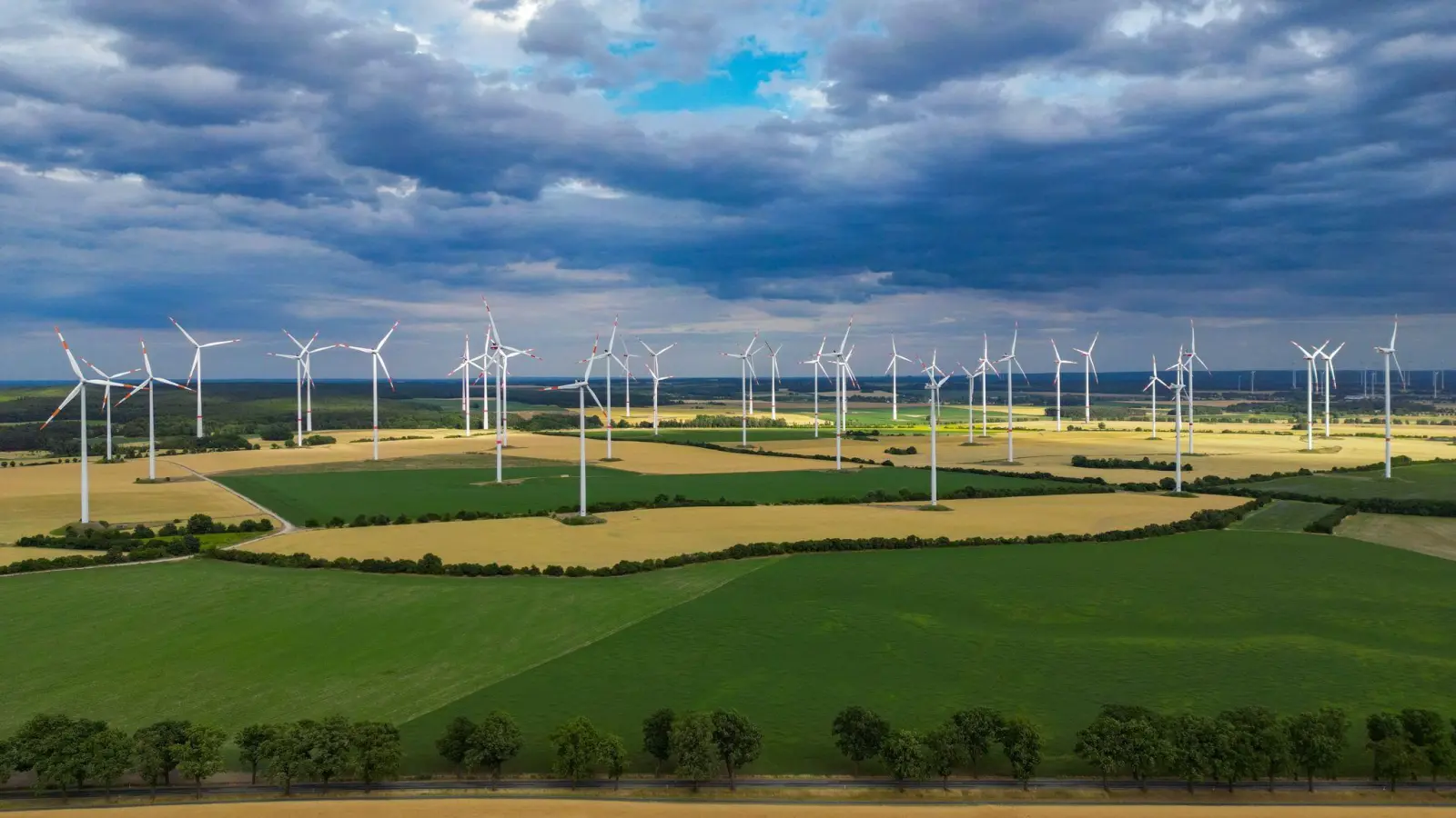 In der Energiewende-Rangliste des WWF liegt Brandenburg vorn. (Foto: Patrick Pleul/dpa)