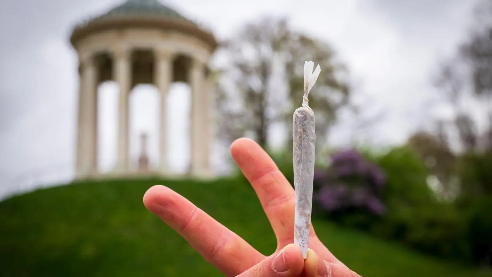 Kiffen verboten? Darüber muss der Verwaltungsgerichtshof entscheiden (Archiv).  (Foto: Peter Kneffel/dpa)