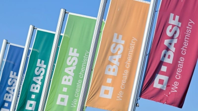 Der Bereich Global Business Services beschäftigt laut BASF rund 8.500 Mitarbeitende. (Symbolbild) (Foto: Uwe Anspach/dpa)