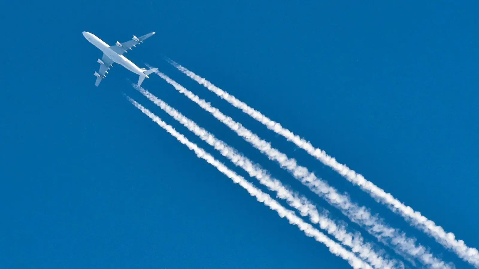 Fliegen gilt als besonders klimaschädliche Form des Reisens - über Ausgleichszahlungen lassen sich die verursachten Klimafolgen zumindest teilweise kompensieren. (Foto: Patrick Pleul/dpa/dpa-tmn)