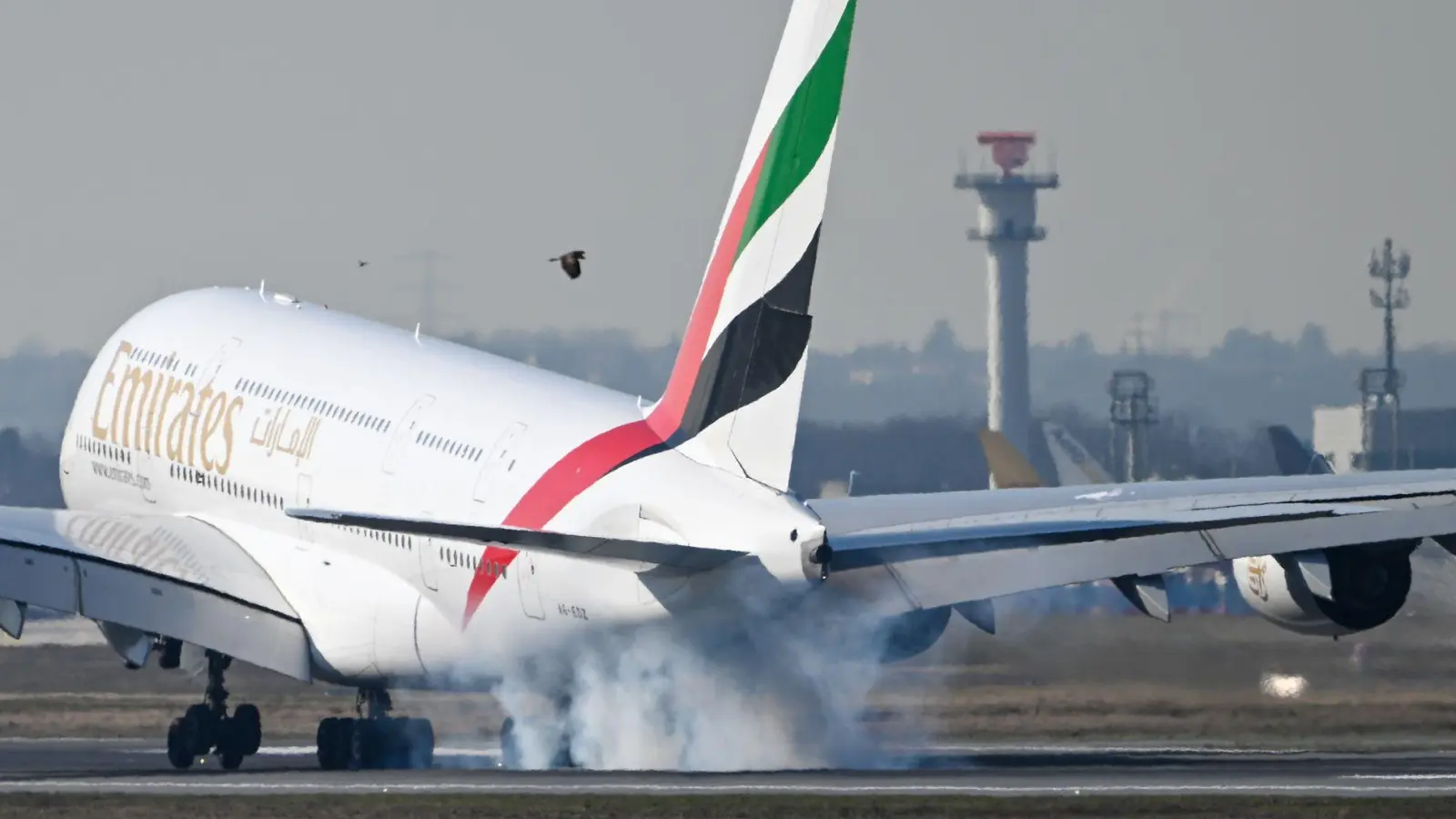 Die ersten Maschinen bringen bereits gestrandete Touristen aus dem Nahen Osten zurück nach Deutschland. (Symbolbild) (Foto: Florian Wiegand/dpa)