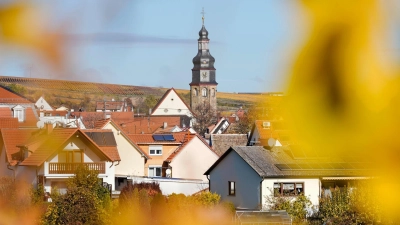 Der kleine Winzerort Kallstadt an der Weinstraße ist der Heimatort von Trumps Vorfahren. (Archivbild) (Foto: Uwe Anspach/dpa/dpa-tmn)