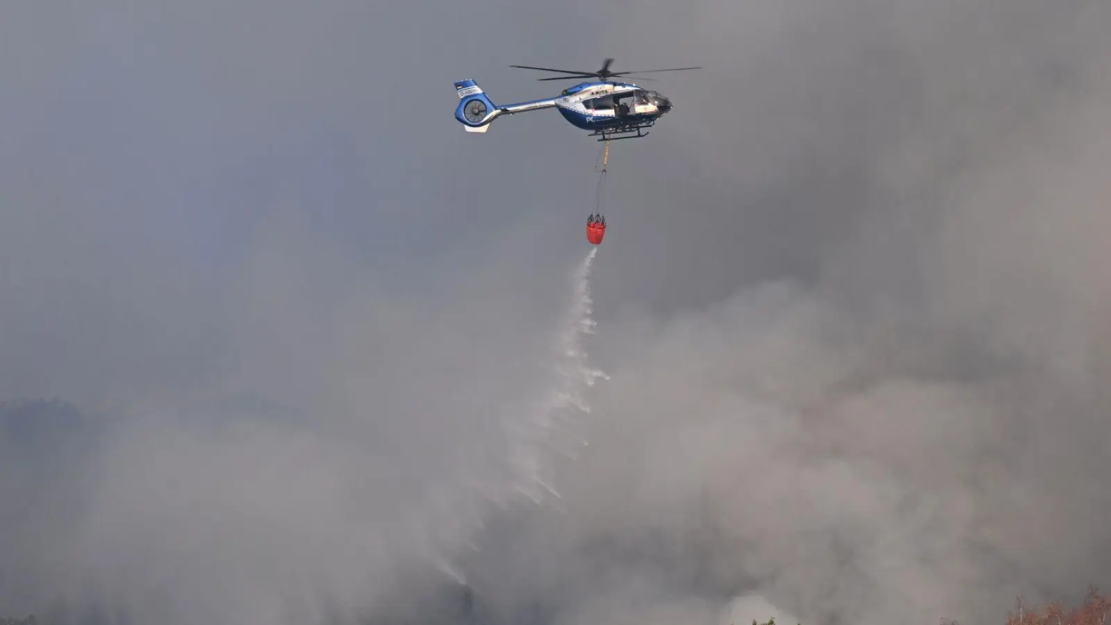 Der Waldbrand ist unter Kontrolle. (Foto: Federico Gambarini/dpa)