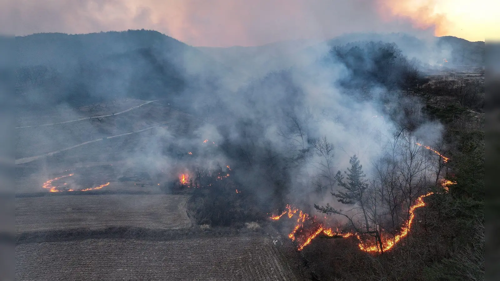 Mindestens vier Menschen sind beim Einsatz gegen Waldbrände in Südkorea ums Leben gekommen. (Foto: Yoon Gwan-shick/Yonhap/AP/dpa)