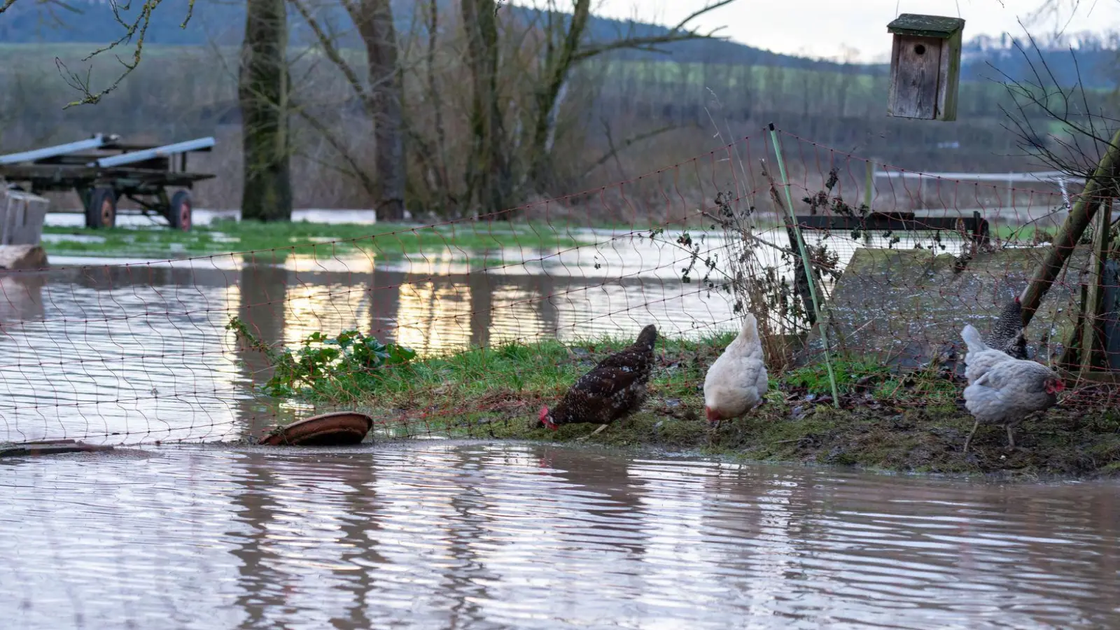 Regen und Schneeschmelze führen zu Hochwasser in Nordbayern.  (Foto: Pia Bayer/dpa)