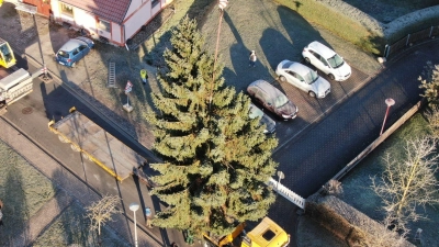 Weihnachtsbaum fürs Brandenburger Tor: Fichte per Kran auf LKW verladen in Sömmerda (Foto: Tobias Junghannß/dpa)