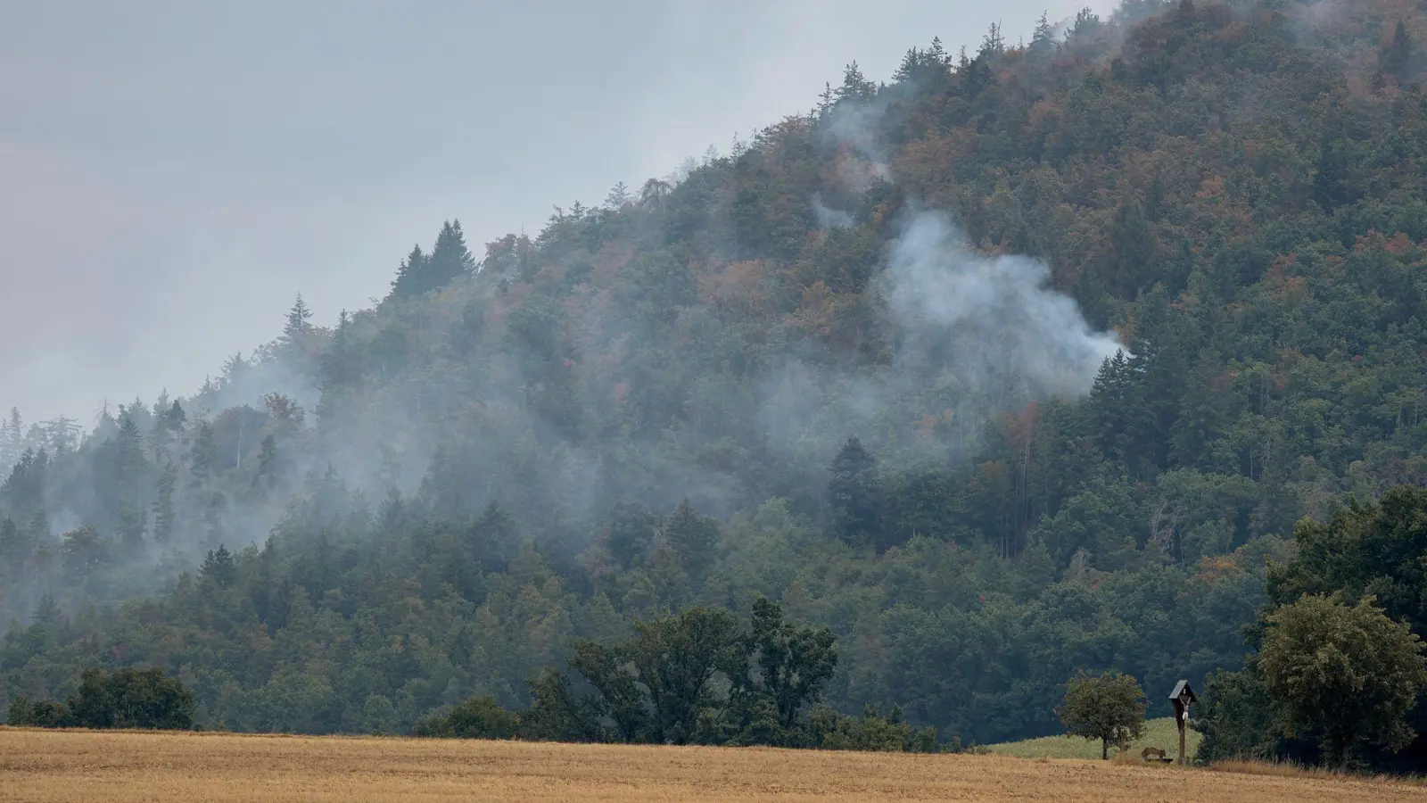 Der Waldbrand in Freudenberg ist unter Kontrolle, doch die Löscharbeiten in dem unwegsamen Gelände dauern an.  (Foto: Tizian Gerbing/dpa)
