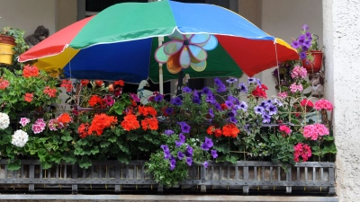 So schön bunt hier: In der Auswahl der Pflanzen sind Mieter nicht limitiert, solange sie Rücksicht auf die Nachbarn nehmen. (Foto: Britta Pedersen/dpa/dpa-tmn)