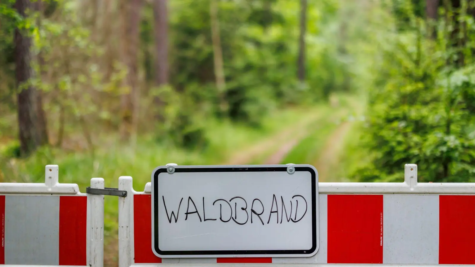 Die Waldbrandgefahr in Bayern steigt. (Archivbild) (Foto: Daniel Karmann/dpa)
