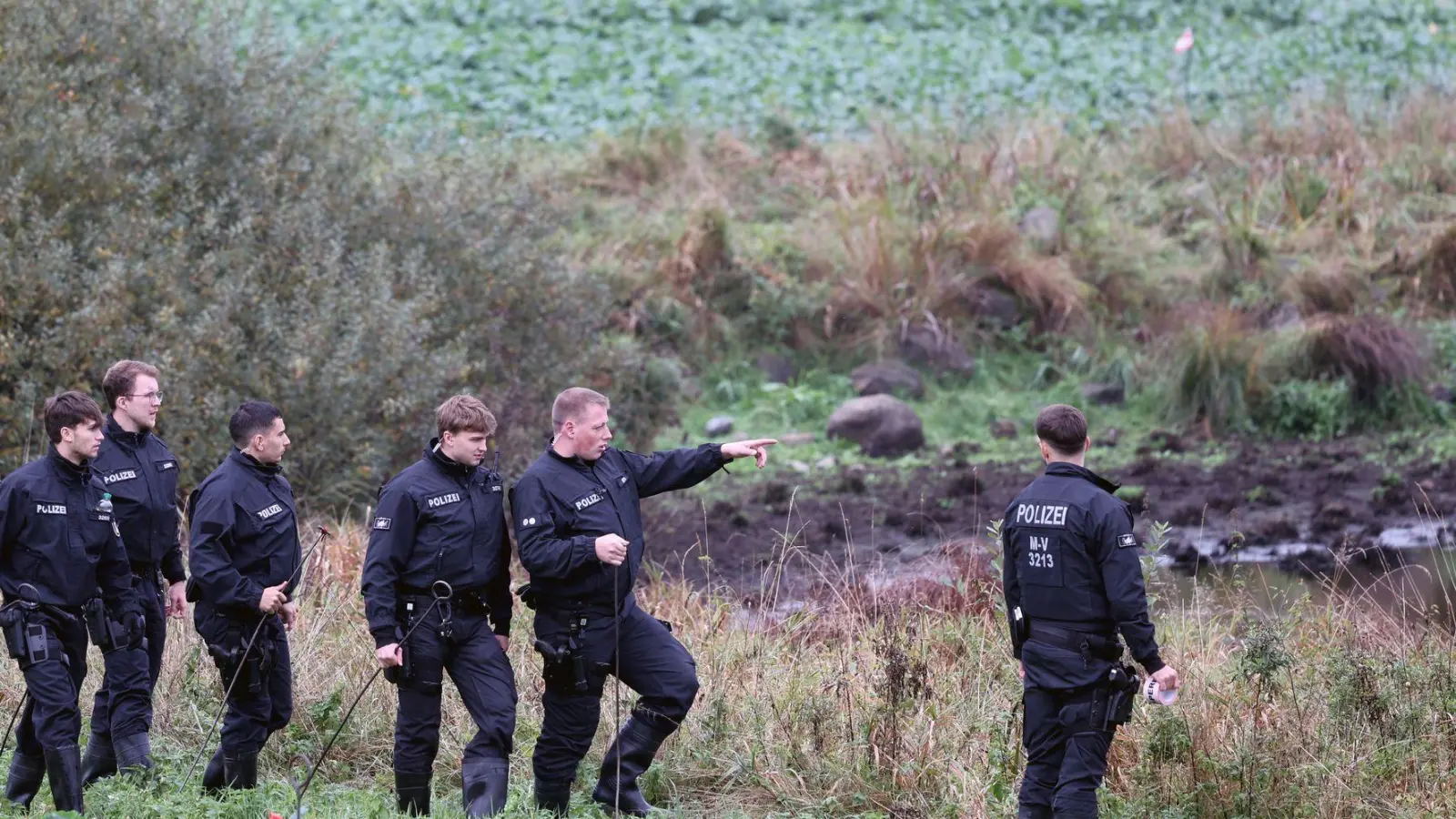 Am Mittwoch hatten Polizisten vor allem das Umfeld eines Tümpels penibel abgesucht. (Foto: Bernd Wüstneck/dpa)