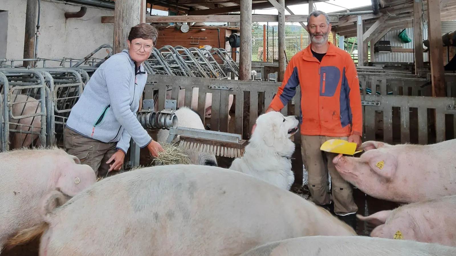 Der landwirtschaftliche Betrieb der Familie Schlund aus Oberschönau bietet an seinem Verkaufsstand Spanferkel an.  (Foto: Antonia Schlund )