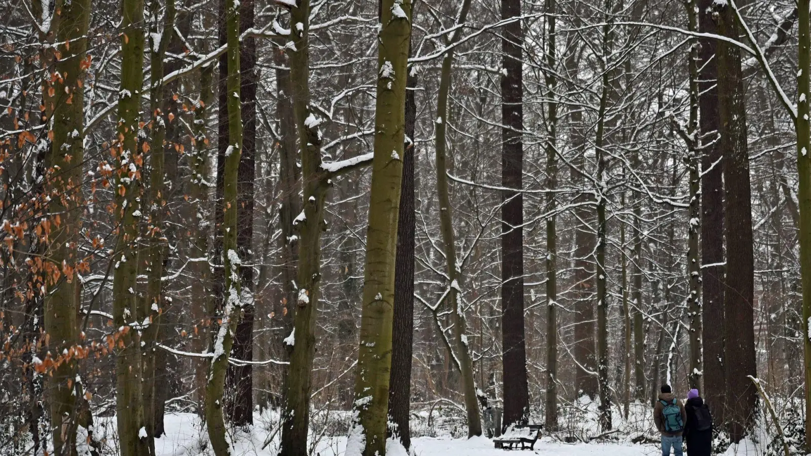Auch am Donnerstag kann es gebietsweise schneien. (Foto: Shireen Broszies/dpa)