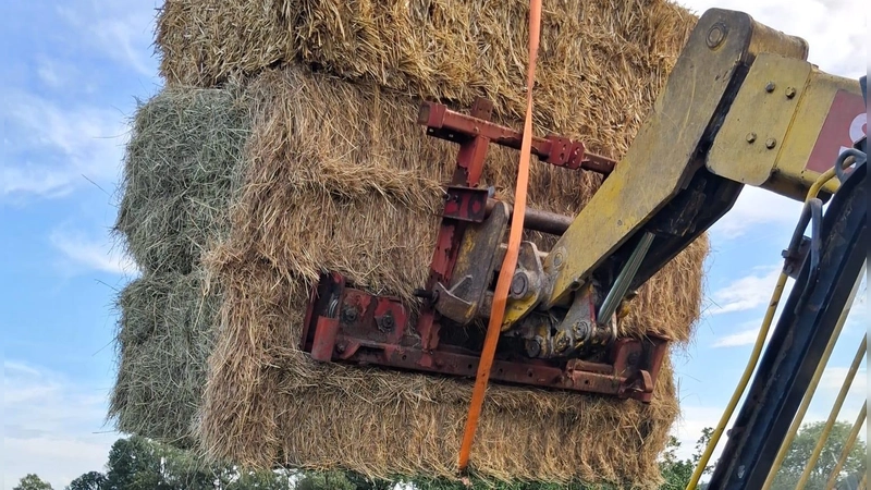 Großballen bis aus Thüringen hat ein Pferdehalter aus Mitteldachstetten kommen lassen, um seine Tiere versorgen zu können. (Foto: Fritz Arnold)