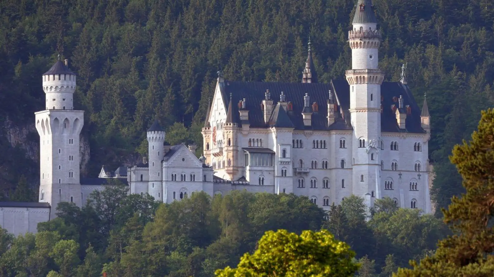 Das Schloss Neuschwanstein im Morgenlicht. (Foto: Karl-Josef Hildenbrand/dpa/Archivbild)