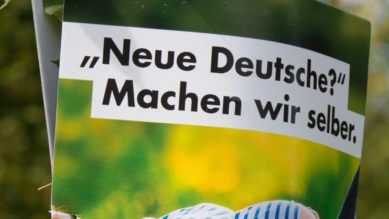 Ein AfD-Wahlplakat aus dem Jahr 2017 in Dresden. (Foto: Arno Burgi/dpa)