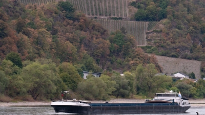 Dank Regens in Süddeutschland steigen die Rheinpegel wieder langsam, sind aber von Durchschnittswerten weit entfernt. (Foto: Lea Winkler/dpa)