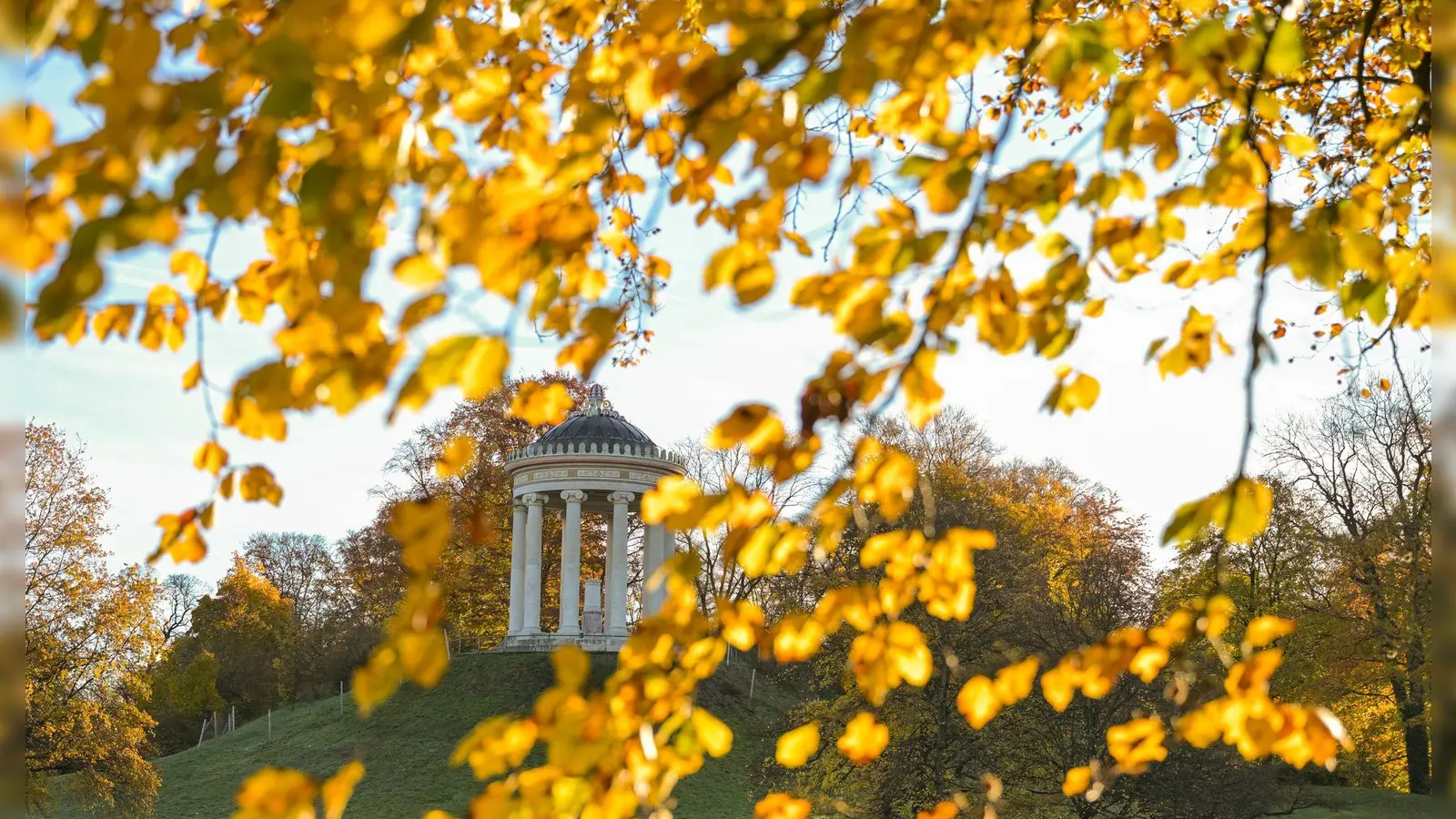 Blick in den Englischen Garten: Die kommenden Tage sollen laut Wetterdienst mild werden.  (Foto: Malin Wunderlich/dpa)